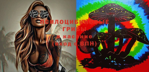 мдпв Вязьма