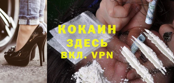 мдпв Вязьма